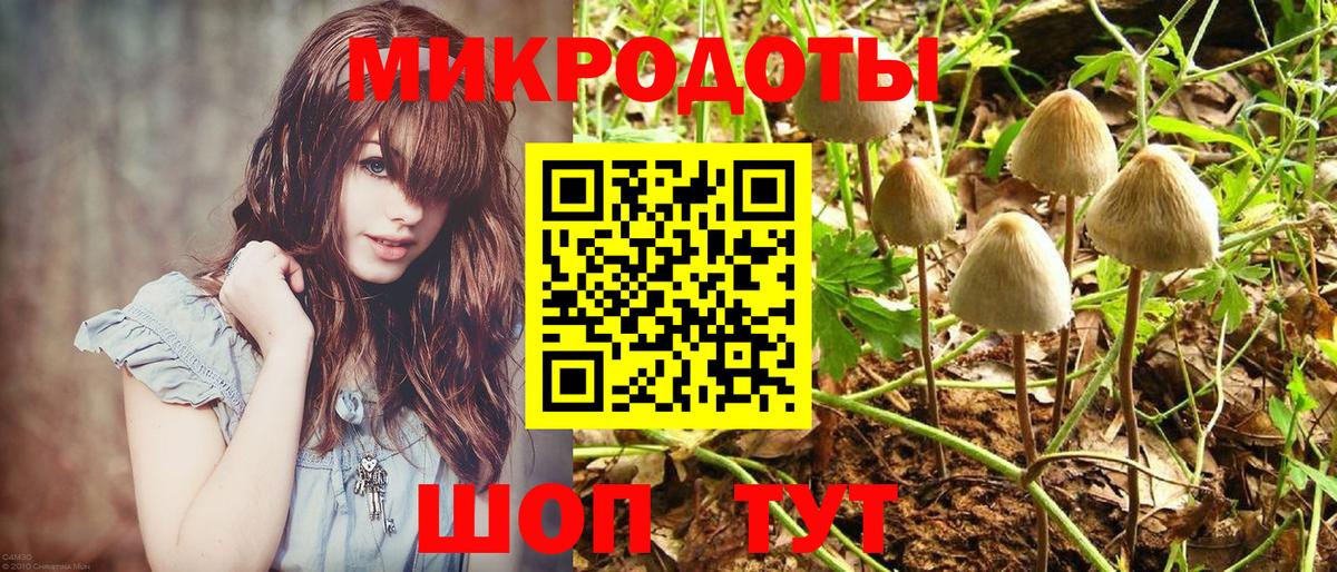 Псилоцибиновые грибы мицелий  Вход с VPN  Кубинка 