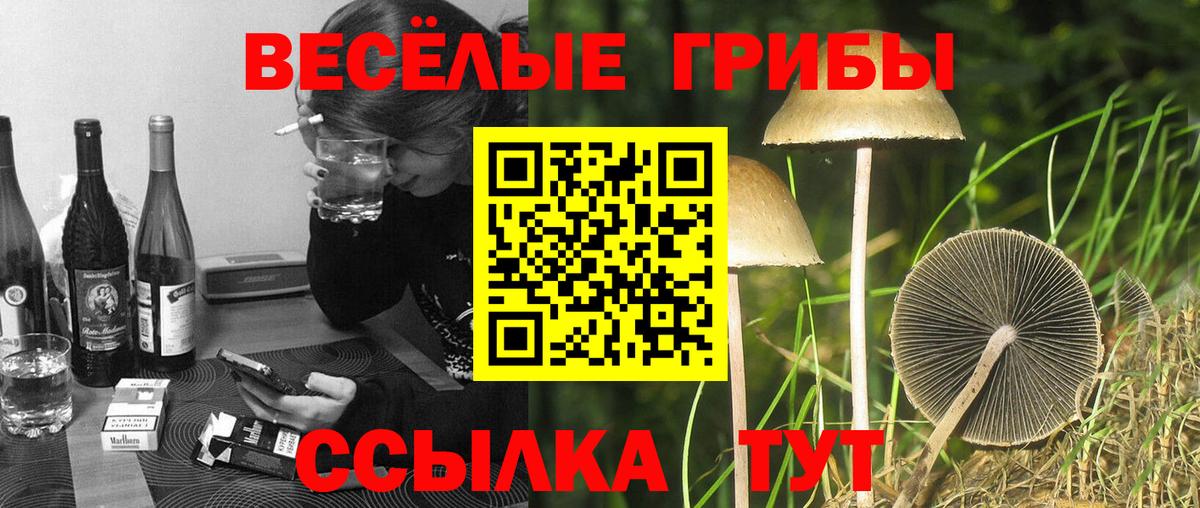 Галлюциногенные грибы ЛСД Кубинка